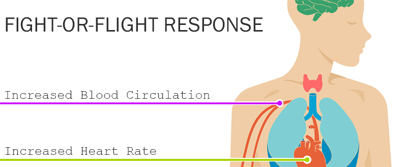 fight or flight response student stress