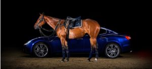 Maserati Horse saddles